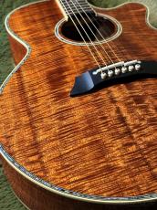 Takamine DMP100K N #62110163【国産エレアコ】【オールコア】【48回迄金利0%対象】_8