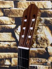 KODAIRA [小平] Model:AST-120S 630 松・ローズウッド【日本総本店2F 在庫品】_8
