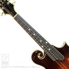 NAO MANDOLIN F-5 Style_5