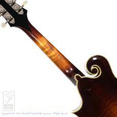 NAO MANDOLIN F-5 Style_6