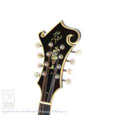 NAO MANDOLIN F-5 Style_7