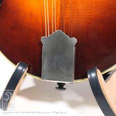 NAO MANDOLIN F-5 Style_10