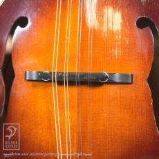 NAO MANDOLIN F-5 Style_11