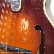 NAO MANDOLIN F-5 Style_13