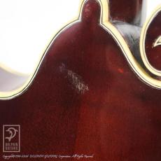 NAO MANDOLIN F-5 Style_14