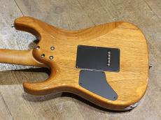 T's Guitars DST-Pro24 Type2_9