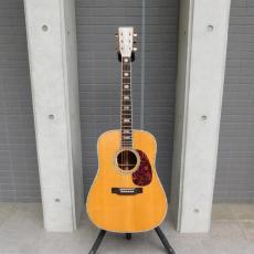 Martin D-45 + L.R.Baggs_2