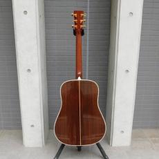 Martin D-45 + L.R.Baggs_4