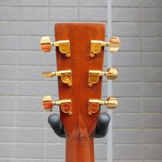 Martin D-45 + L.R.Baggs_5