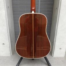 Martin D-45 + L.R.Baggs_6