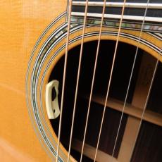 Martin D-45 + L.R.Baggs_7
