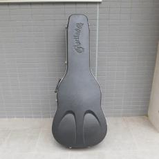 Martin D-45 + L.R.Baggs_8