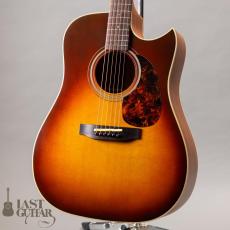 Iwaneko Guitars Type-DC Simple Style Colored Top_2