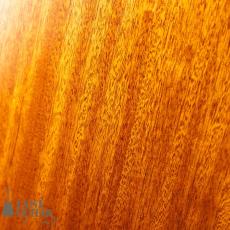 Iwaneko Guitars Type-DC Simple Style Colored Top_10