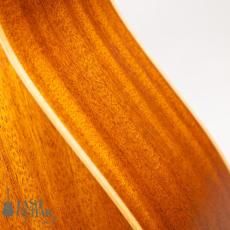Iwaneko Guitars Type-DC Simple Style Colored Top_11
