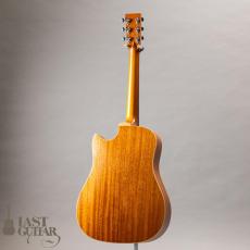 Iwaneko Guitars Type-DC Simple Style Colored Top_12