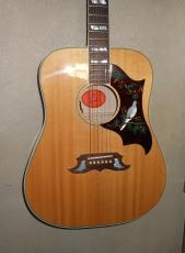 Gibson DOVE_2
