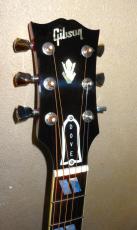 Gibson DOVE_3