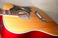 Gibson DOVE_7