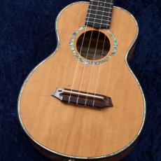 G String 【スペシャルプライス!】 ABF-T4 '01 【実物動画あり】【USED】【P.U付】【テナー】【町田店】