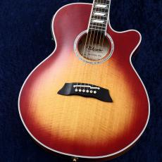 Takamine 夏のボーナスセール! ～7/31 CTM TSP178 FCB 【限定カラー】【極薄ボディ】【町田店】