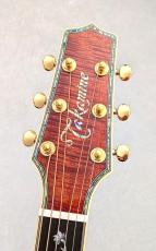 Takamine 【月末大特価!】DMP100K N【極上バリトラ杢個体】【純国産】【48回払い無金利】_6