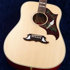 Gibson Dove Original AN '24 【USED】【美品】【町田店】