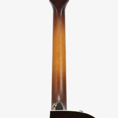 Taylor K24ce J-Spec_9