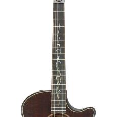 Taylor Builder’s Edition K24ce_6