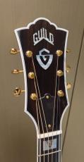 Guild D-55 NAT_3