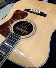 Guild D-55 NAT_6