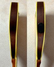 Washburn 【超コンパクトエレアコ!!】RO10E #SC16120125 【旅のお供に】_8