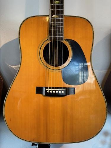 Greco 3558P