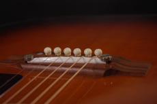 Gibson J-45 The59_6