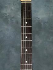 Provision VTE Custom Brazilian Rosewood FB / Sherwood Green_4