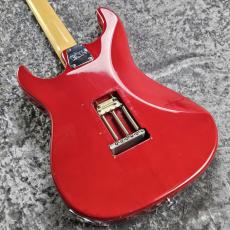ESP SNAPPER-CTM_6