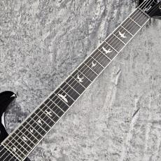 Paul Reed Smith [PRS] SE MARK HOLCOMB SVN【4Fメタルギターフロア取り扱い商品】_4