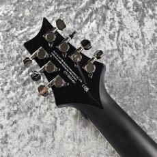 Paul Reed Smith [PRS] SE MARK HOLCOMB SVN【4Fメタルギターフロア取り扱い商品】_8