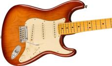 Fender American Professional II Stratocaster / Sienna Sunburst_2