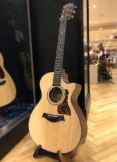 Taylor 312ce_2