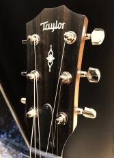 Taylor 312ce_3