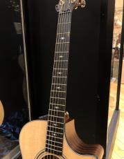 Taylor 312ce_4