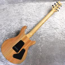 Paul Reed Smith [PRS] SE Custom24 Lefty 【Turquoise】Left Hand Model【レフティー】_8