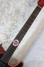 Fender 【モンハンコラボ】Monster Hunter Rathalos Telecaster No.448 #JD25004103【3.47kg】_2