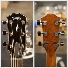 Taylor 814ce V-Class #1205224080【実物写真】【フラッグシップ】【万能型】【分割手数料0%】【送料当社負担】_10