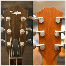 Taylor 【6月セール】【USED】GT-E URBAN ASH #1202021006 2021年製【単板仕様】【ES-2PU搭載】【分割手数料0%】_10