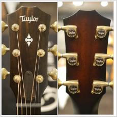 Taylor 【外観動画】Builder's Edition 314ce 50th Anniversary【50周年】【パンチのある中音域】【分割手数料0%】_9