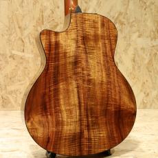 Taylor K16ce LTD 2016_2