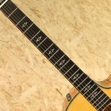 Taylor K16ce LTD 2016_6