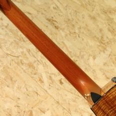 Taylor K16ce LTD 2016_7